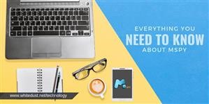 Instalmler Mspy Sur Portable Depuis Ordinateur