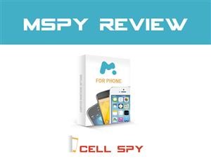 Combien De Temps Pour Installer Mspy
